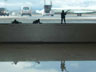 reflect